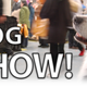 Illustration for article titled Calling Off The Dogs: Day 2 At Westminster